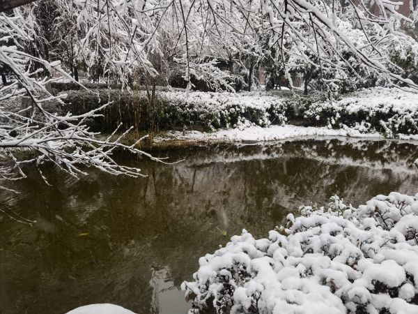 米乐m6官方网站作文大全《雪中即景》的作文尝雪中味、拍雪中景