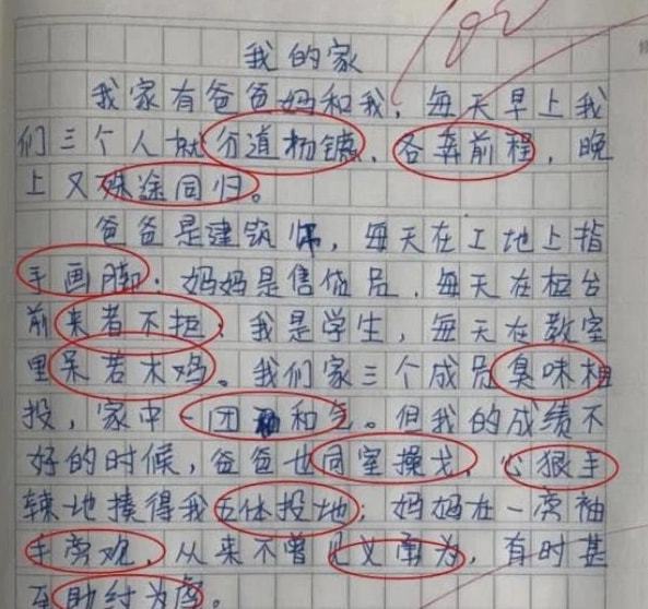 米乐M6官方入口小学生作文《我讨厌我的爸爸》让人感触颇深反映